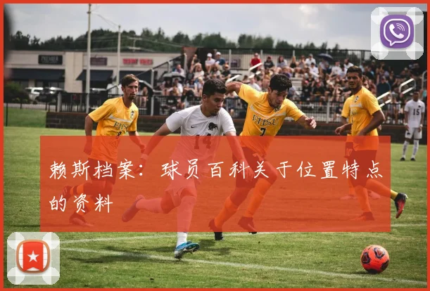 赖斯档案：球员百科关于位置特点的资料