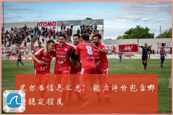 皮尔洛信息汇总：能力评价包含哪些稳定程度
