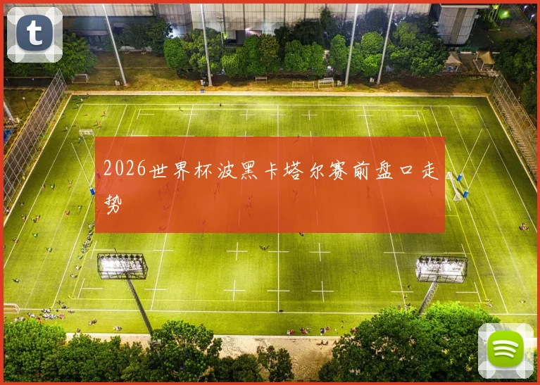 2026世界杯波黑卡塔尔赛前盘口走势